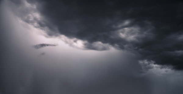 Qu'est-ce qui peut remplacer une souris matérielle ?